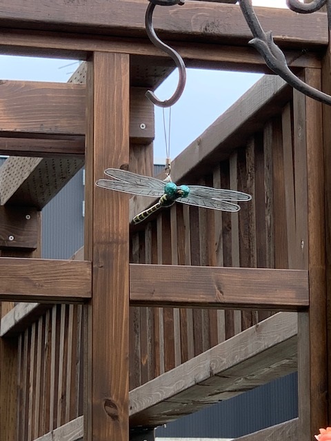 おにやんまくん