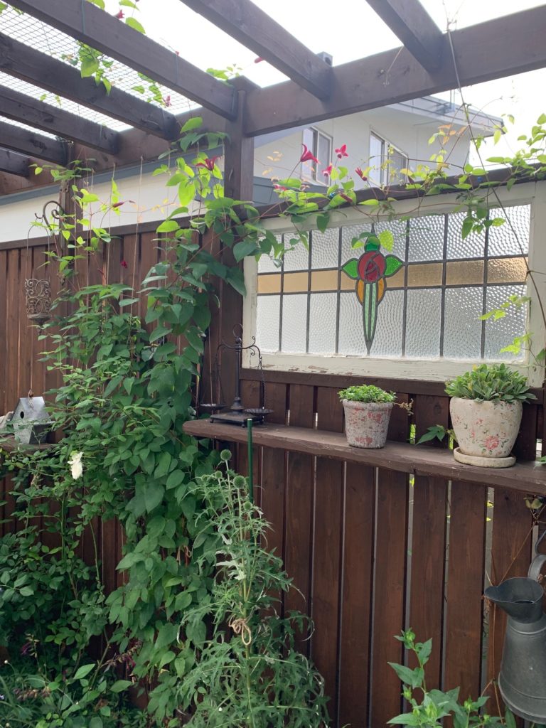 グレイブタイビューティー